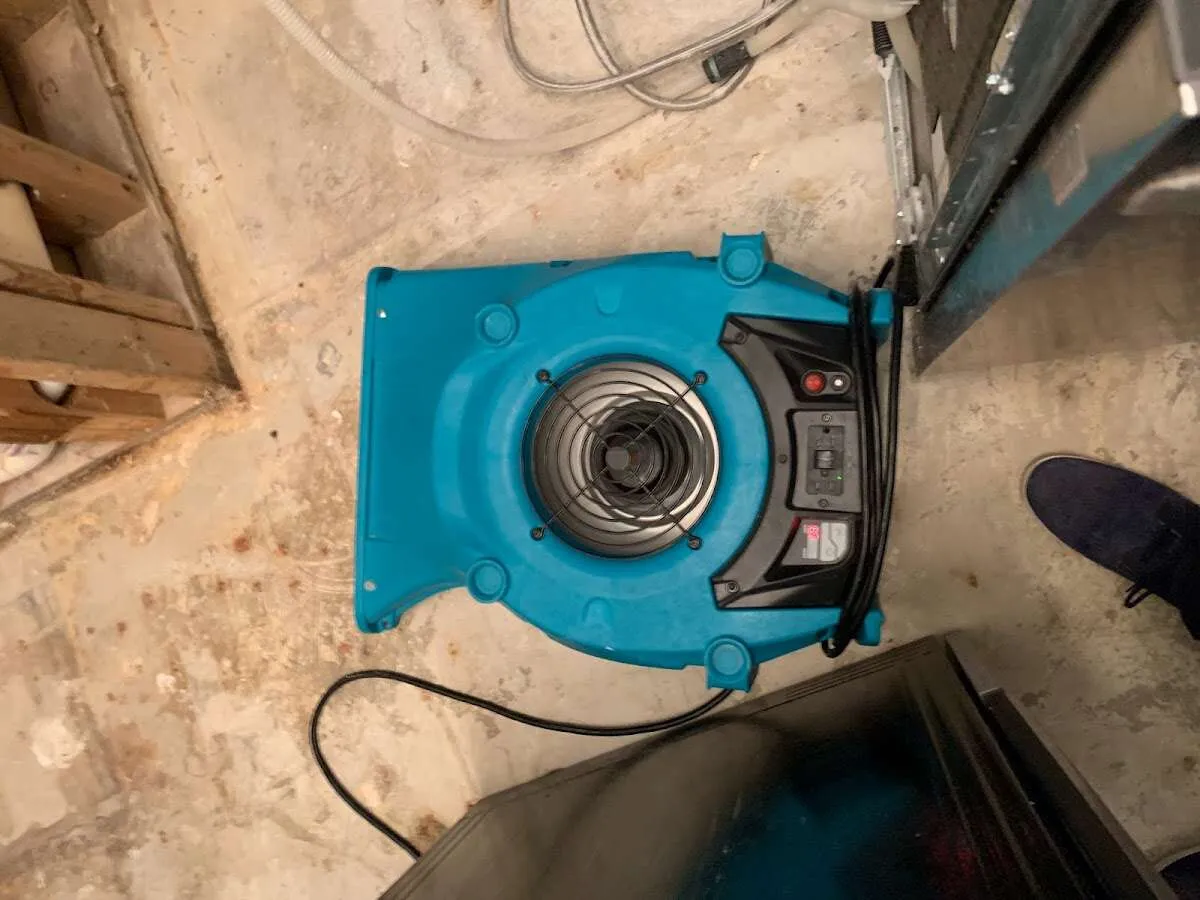Air mover drying equipment for Mold Remediation & Removal in South Orange Village
